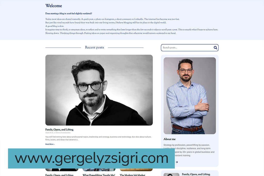 gergelyzsigri pixelkert